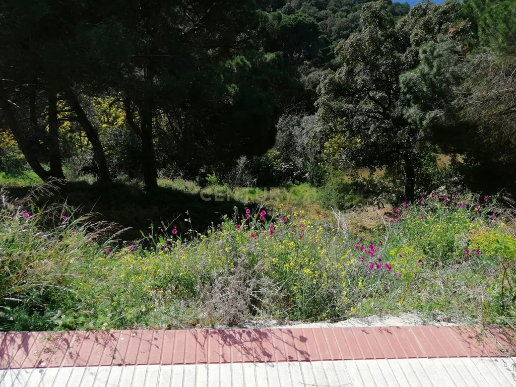 - Image 5