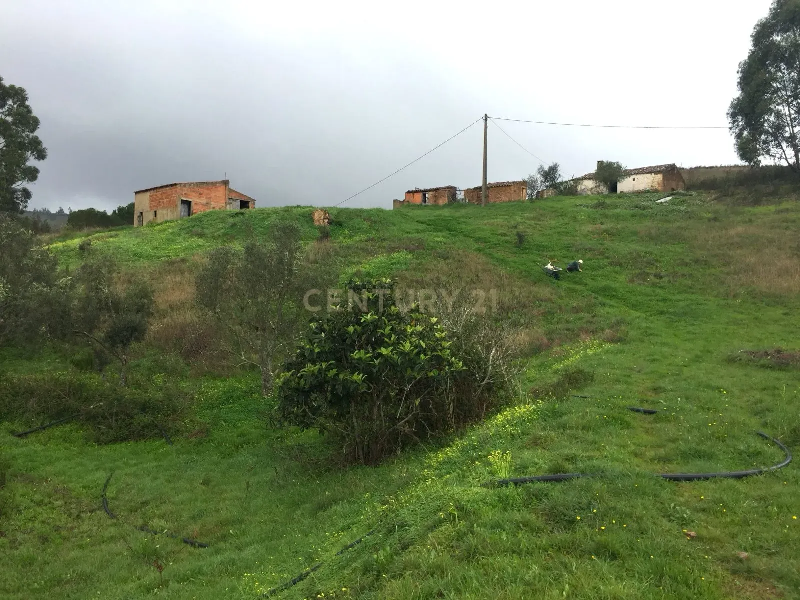Casa de Campo com 2,53 Hectares de Terreno Misto – S. Marcos da Serra / Silves
