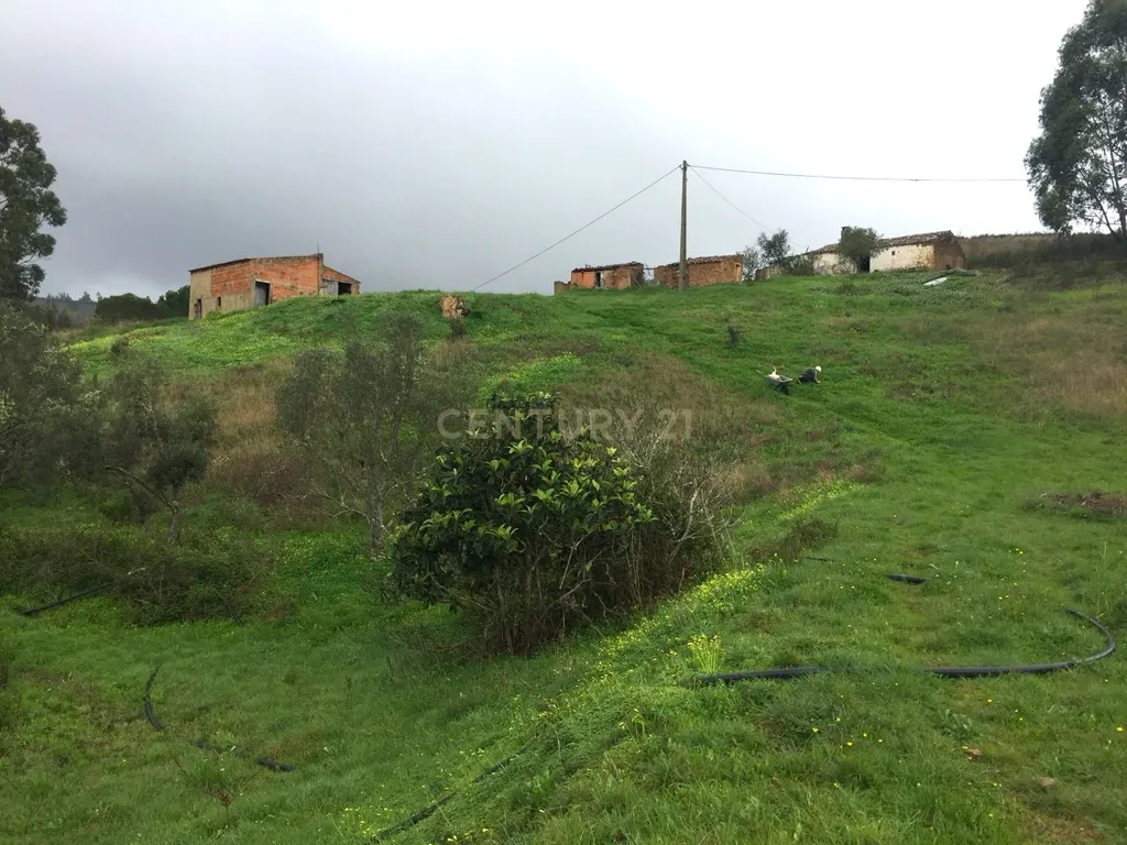 Casa de Campo com 2,53 Hectares de Terreno Misto – S. Marcos da Serra / Silves - Image 1