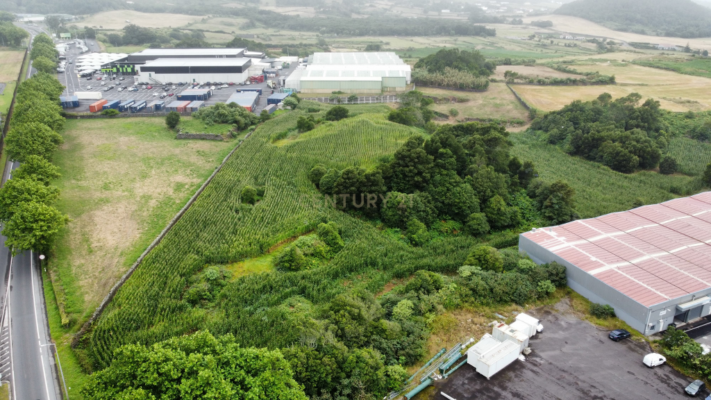🏞️ Terreno com 26.800 m² nas Giestas – Ribeira Grande - Image 4
