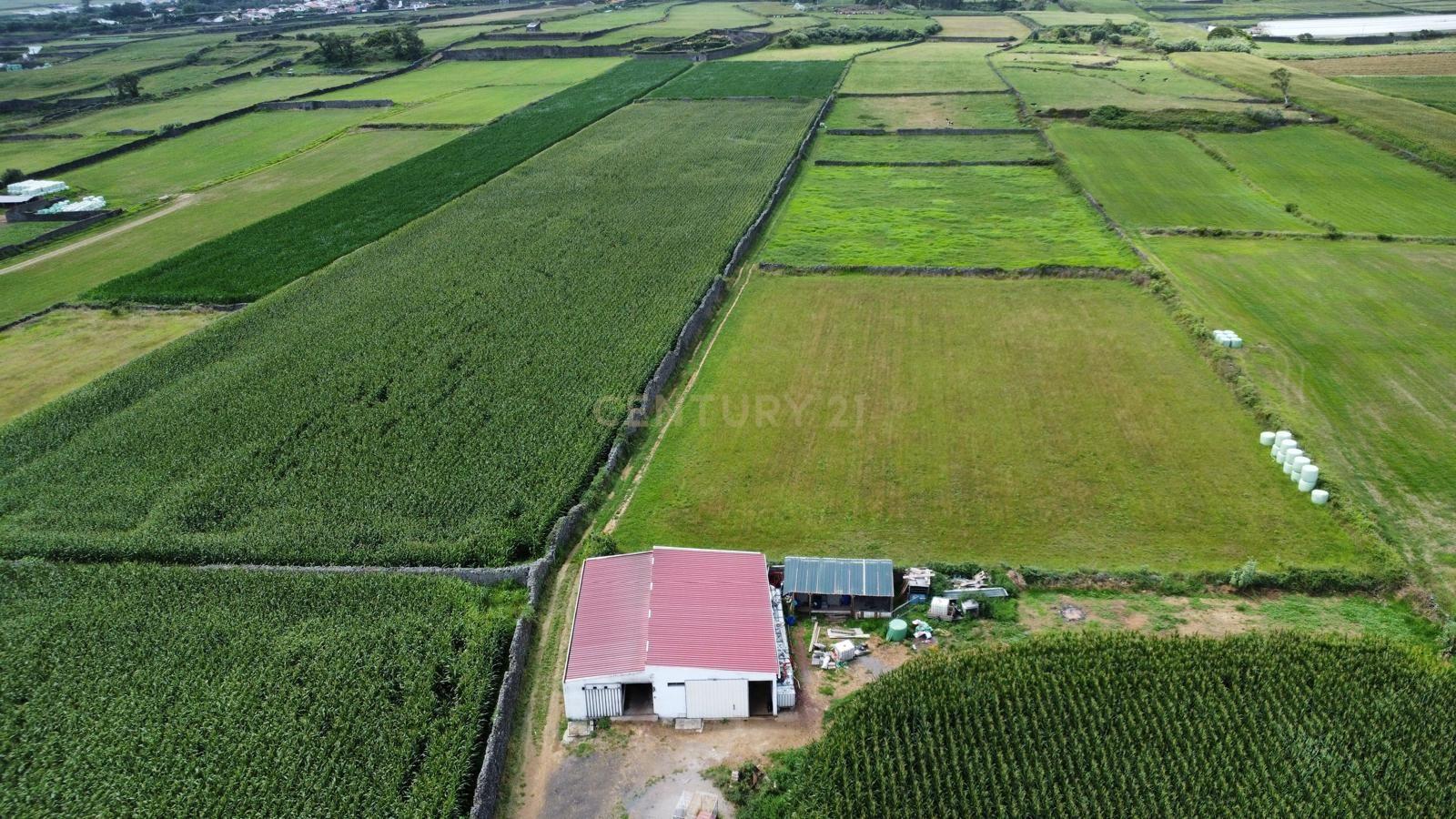 Fotografia 4 de Terreno Agrícola Plano com 6.240 m² | Excelente Exposição Solar | Calhetas