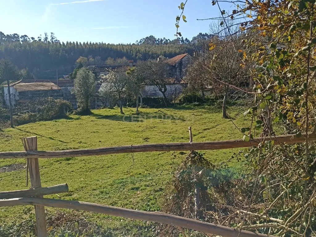 Quintinha Única com 6000m² de Terreno Construtivo – Serzedelo, Póvoa de Lanhoso - Image 7