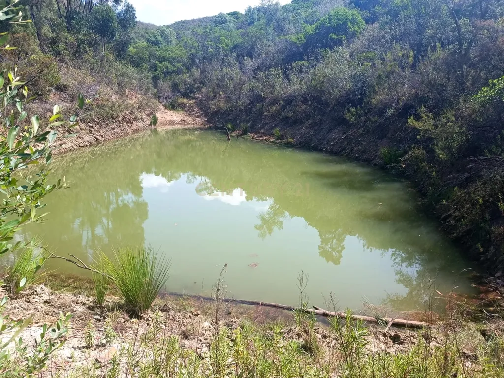 Terreno Misto com 3,66HA - Perna Seca - S. B. Messines - Image 22