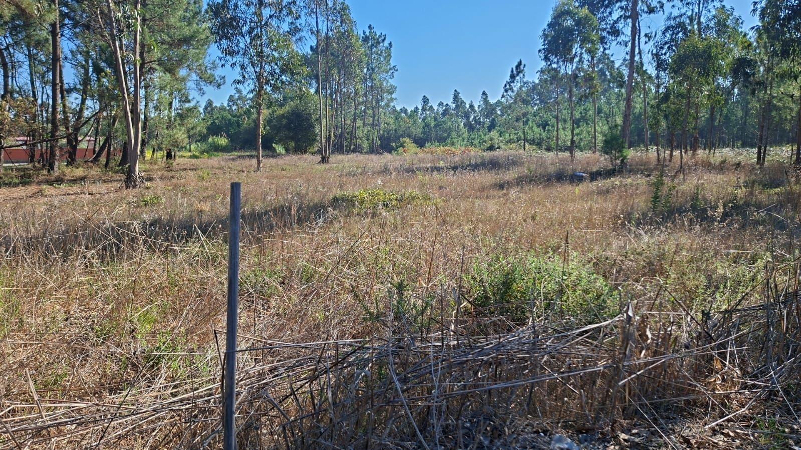 Moradia T3 à venda em Ouca, Vagos — foto 10