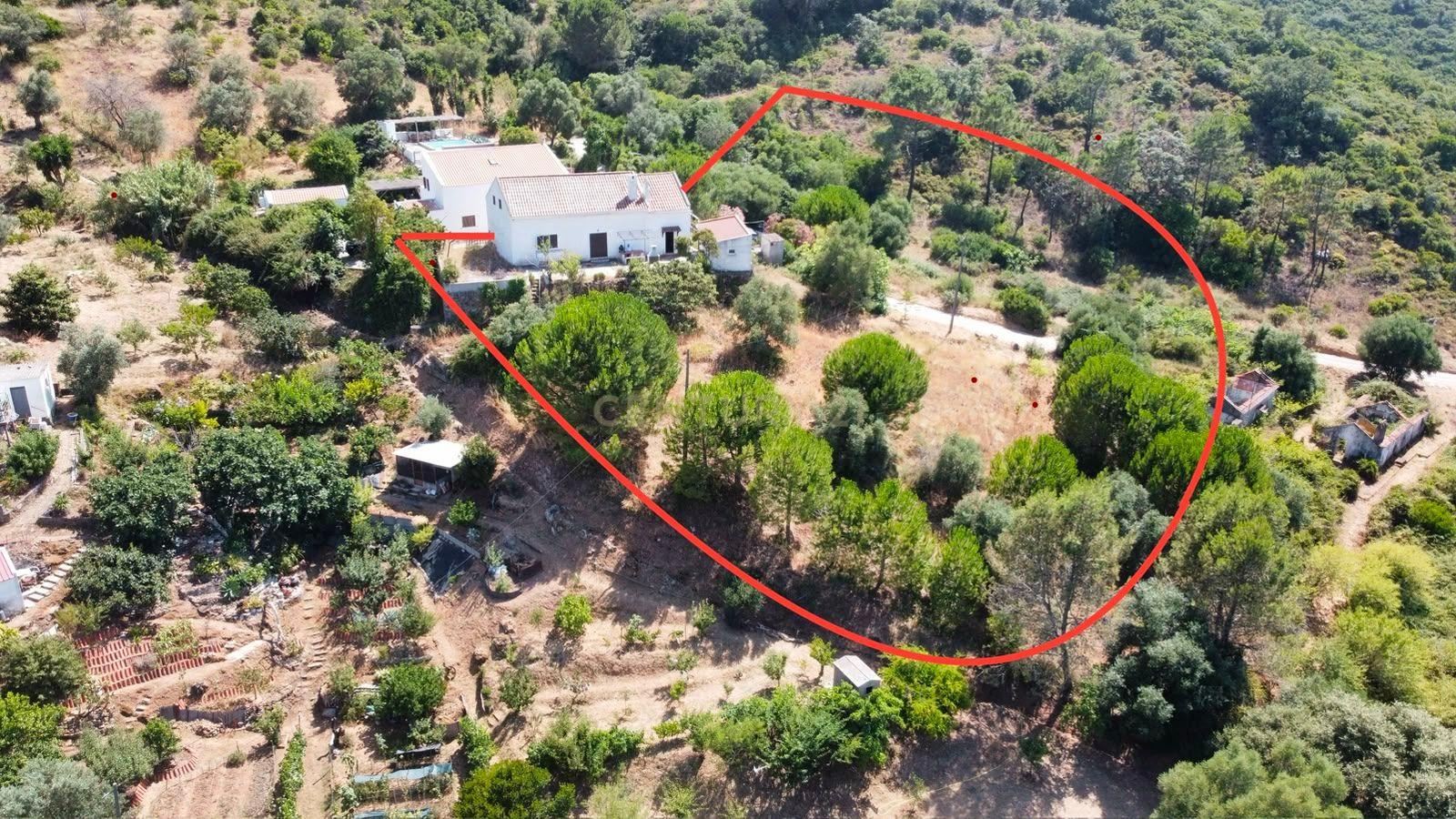 Fotografia 7 de Quinta de 3.500 m2 na Serra da Arrábida