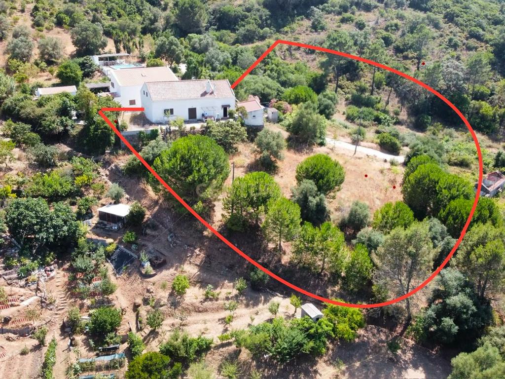 Quinta de 3.500 m2 na Serra da Arrábida - Image 7