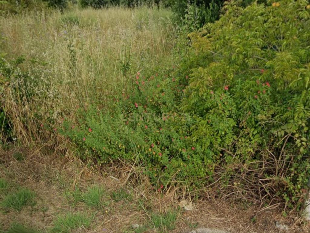 Terreno Urbano à Venda – Brogueira, Torres Novas - Image 5