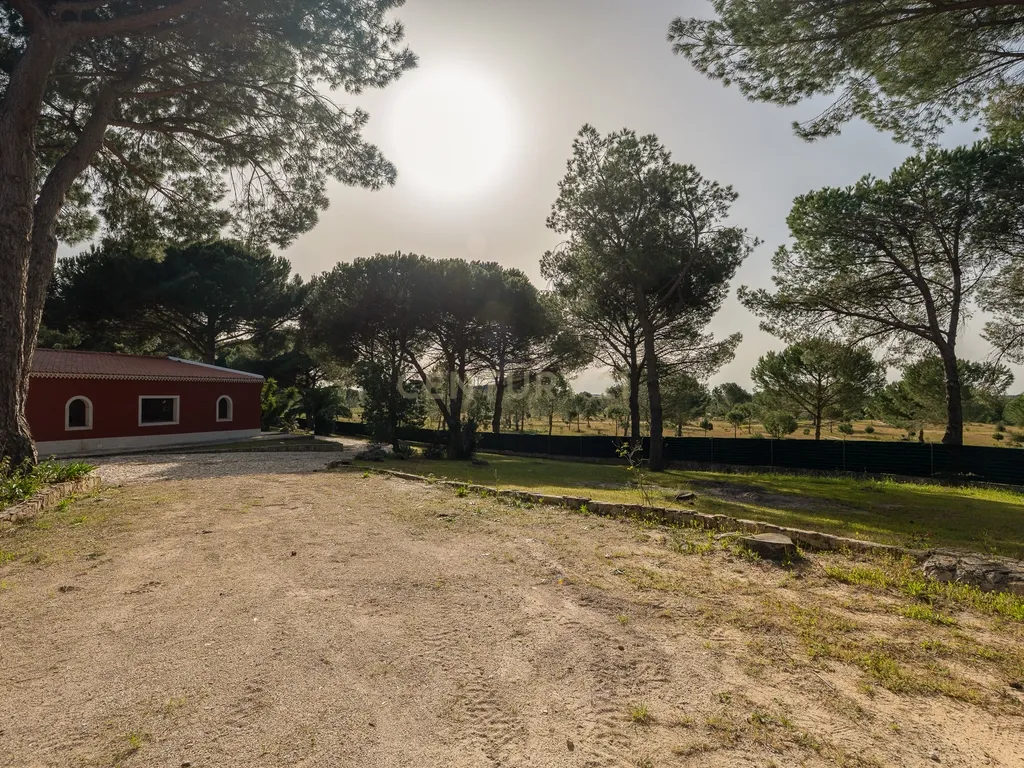 Fabulosa Quinta com lote de terreno de 22.381 m2, onde se encontra inserida uma moradia composta por dois pisos, com uma área bruta de 623 m2, uma área útil de 304 m2 e uma área bruta dependente de 319 m2, localizada em Santo Isidro de Pegões, na zona de Pegões, a pouca distância das belas praias de Setúbal. - Image 115