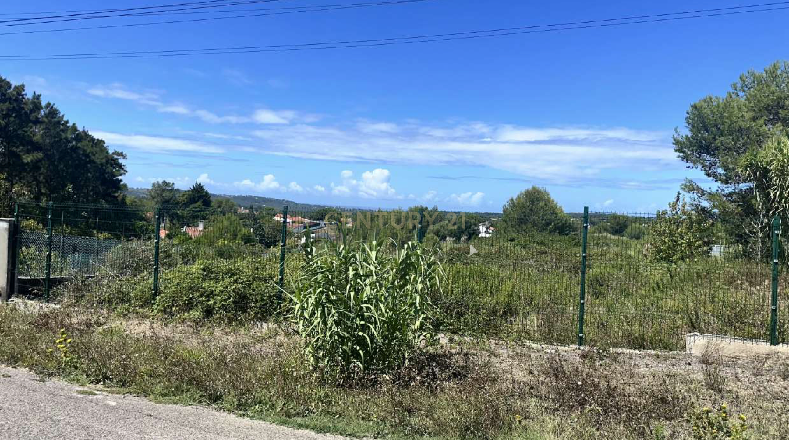 Fotografia 10 de Vende-se Terreno com 7880 m2 e vista privilegiada para a Serra de Sintra  - Galamares.