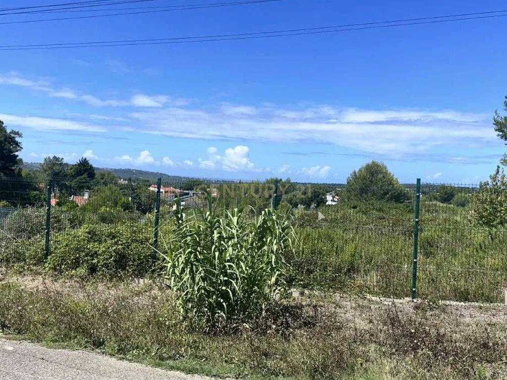 Vende-se Terreno com 7880 m2 e vista privilegiada para a Serra de Sintra - Galamares. - Image 10