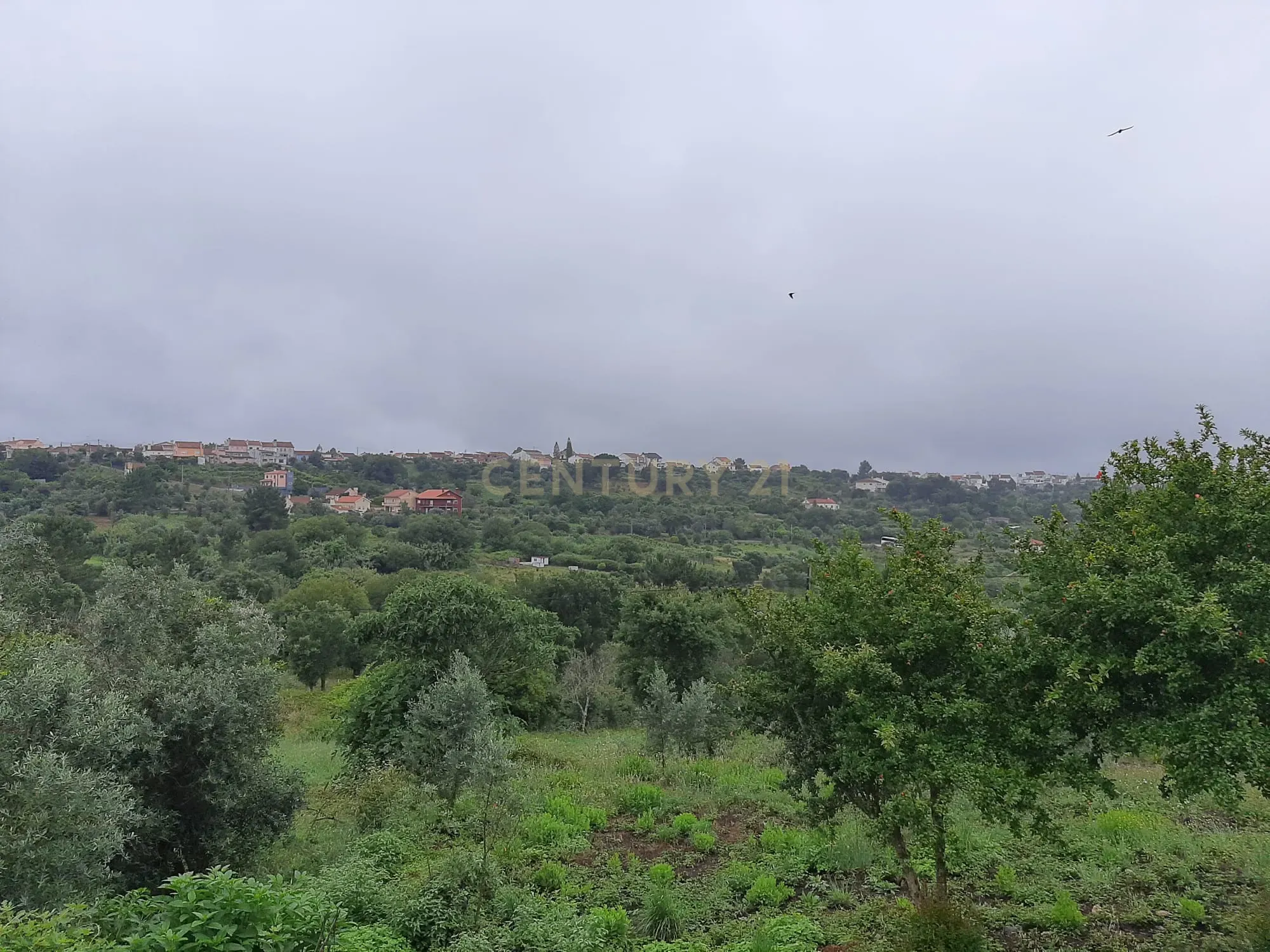 Moradia T4 à venda em Carvalhal, Abrantes — foto 4