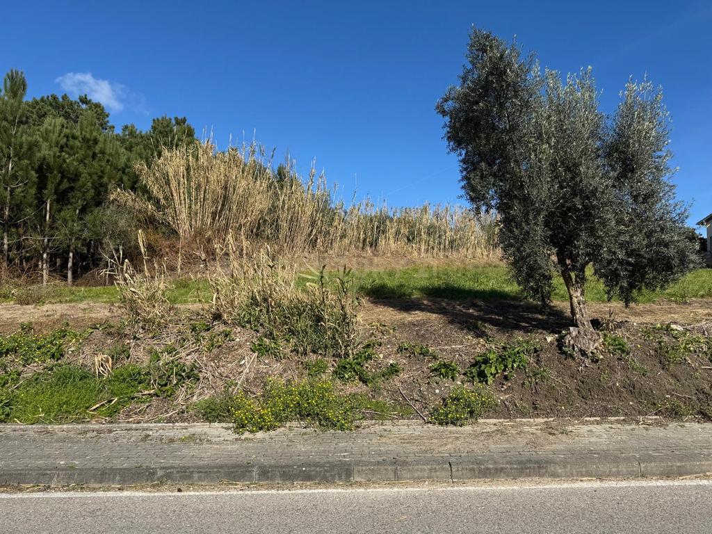 Terreno Urbano || Pombal - Image 9