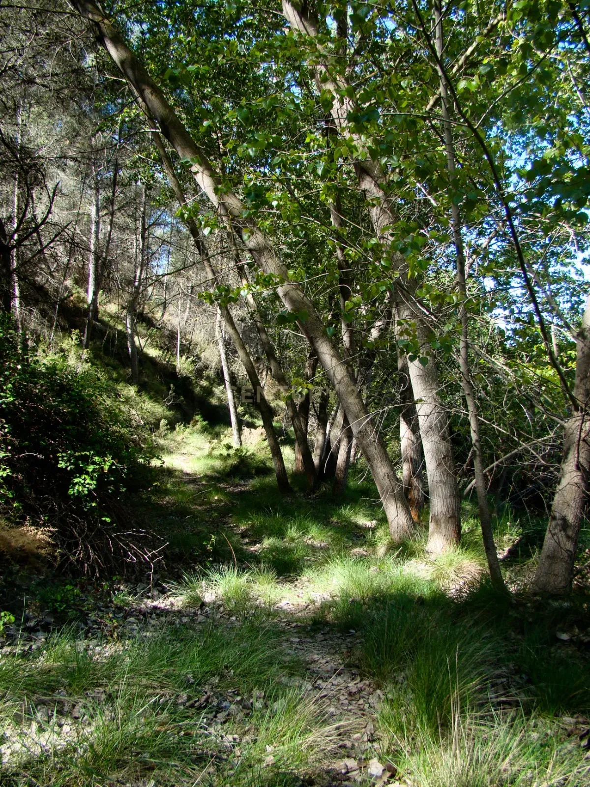 undefined - Image 6