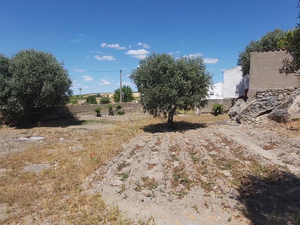 PEDROGÃO ALENTEJO - EXCELENTE TERRENO PARA CONSTRUÇÃO - Image 6