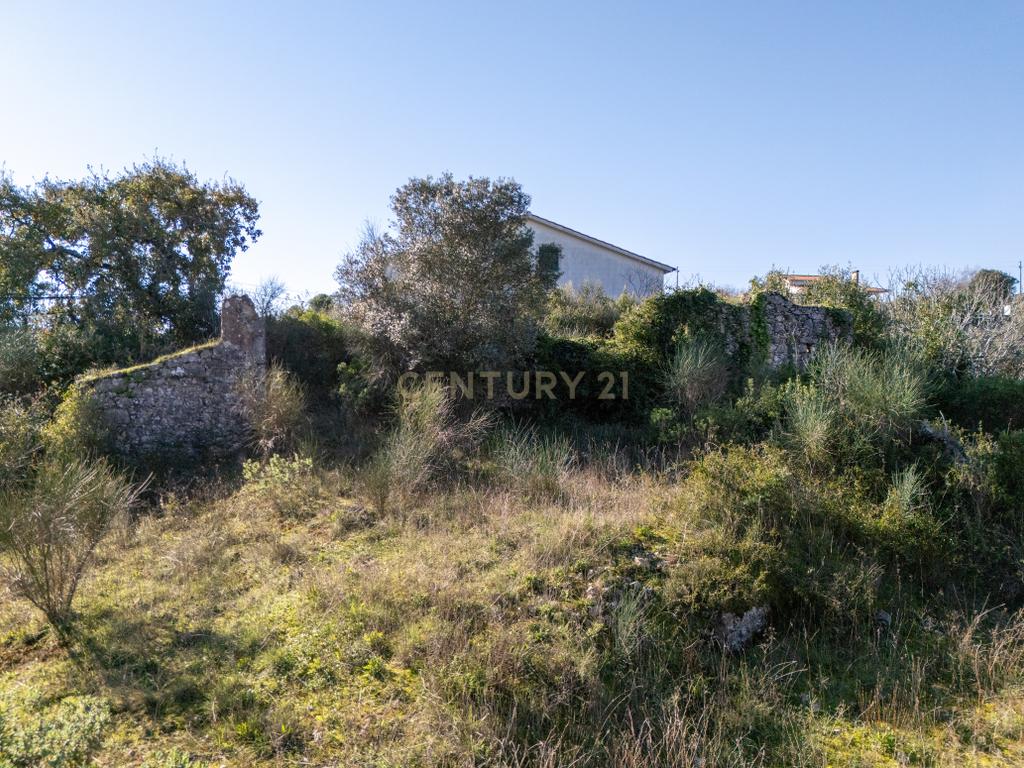 Terreno Urbano com Ruínas e Árvores de Fruto - 2.280m² - Longra, Tomar - Image 9