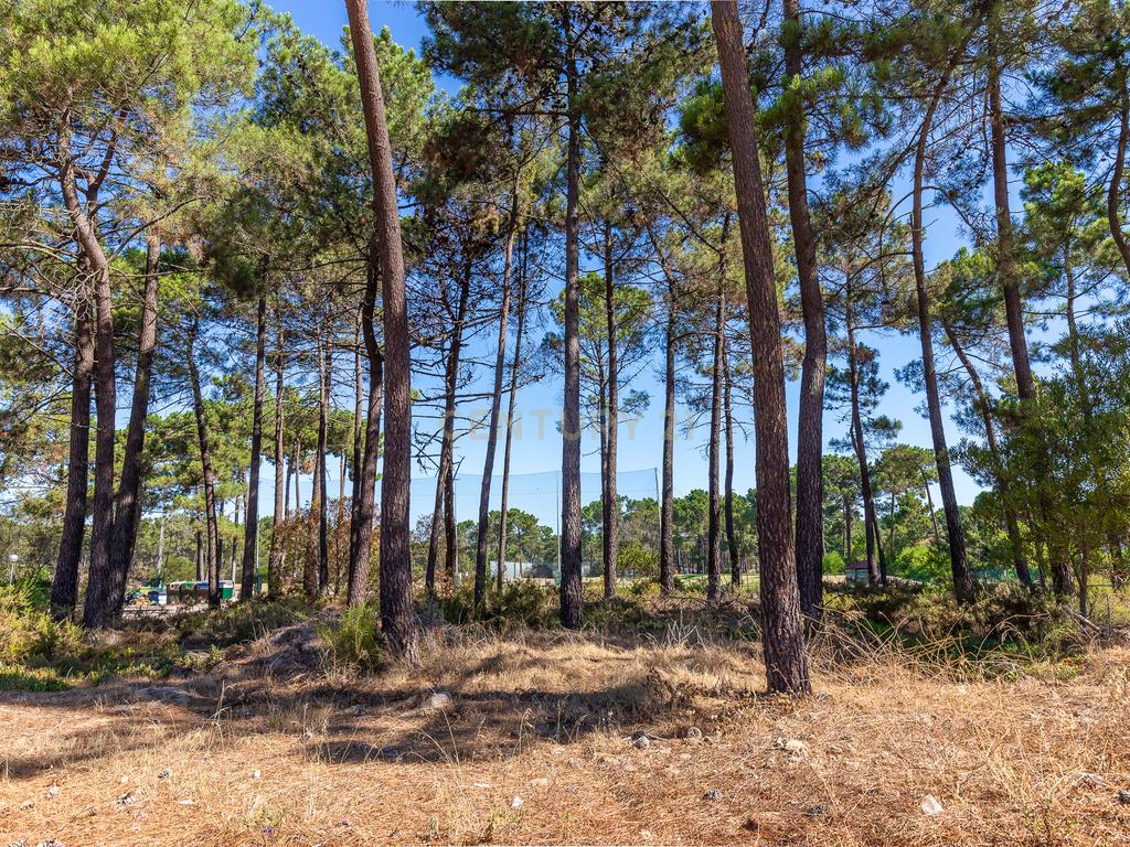 Terreno para Moradia de Luxo com Piscina e Jardim na Herdade da Aroreira - Image 19