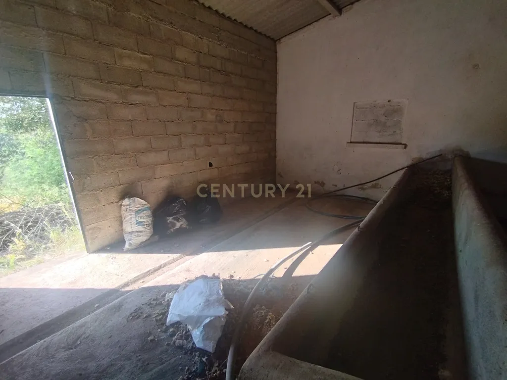 Propriedade com mais de 18 hectares de terreno rústico, localizado no Baixo Alentejo, concelho de Almodôvar - Image 5