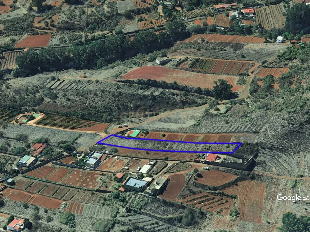 undefined - Image 12