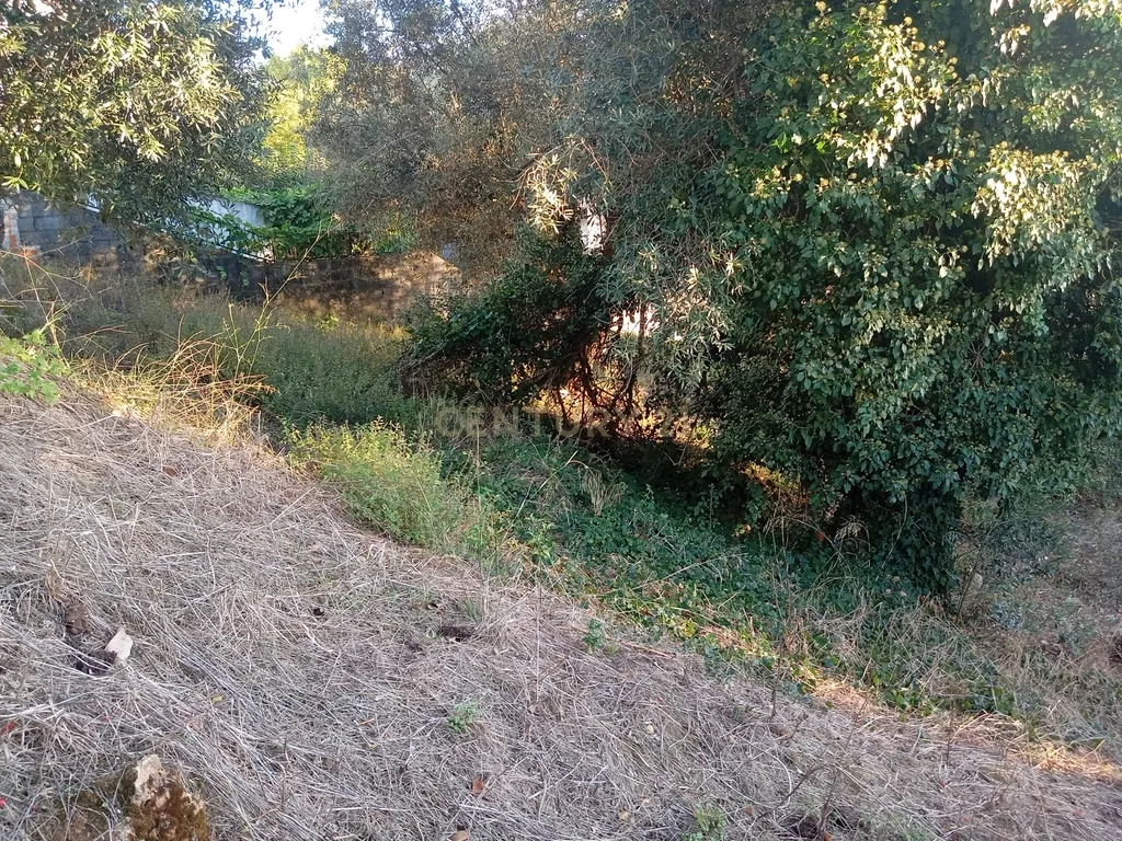 EXCELENTE LOTE DE TERRENO ENCOSTA DO SOL SOURE - Image 10