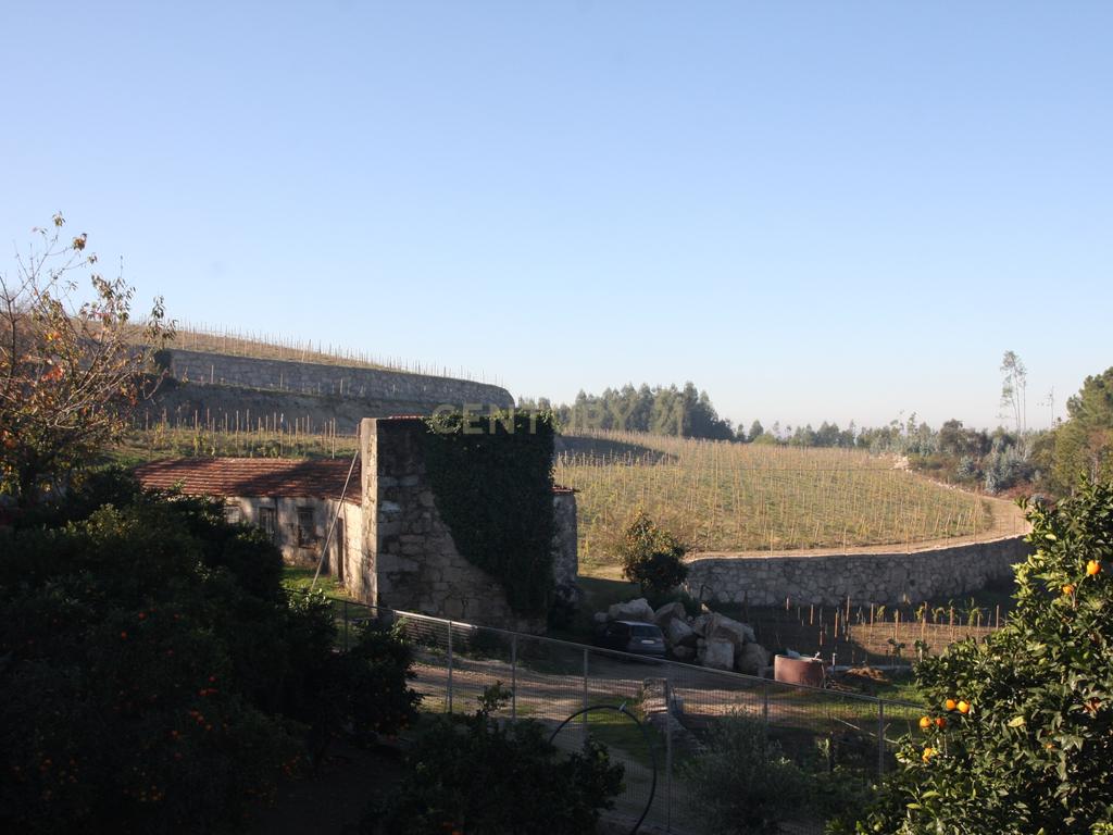 Quinta da Cerqueda, Santo Tirso - Image 33
