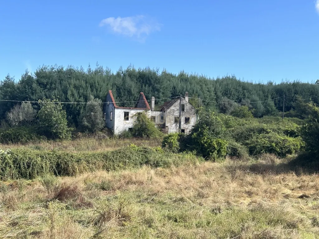 Quinta com Ruína - Oportunidade de Negócio - Image 7