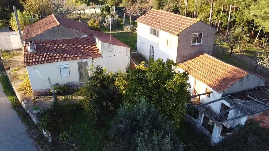 Quinta para venda em Dornes, Ferreira do Zêzere - Image 12
