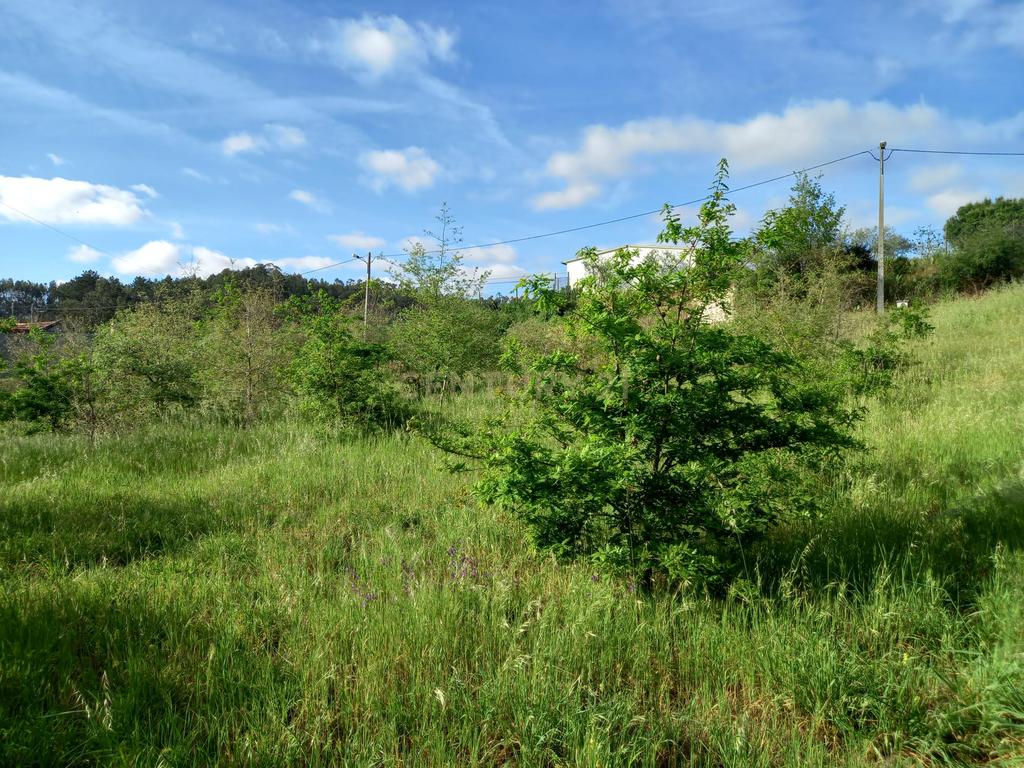 Terreno com 800 m2 em Barbas Novas - Image 5