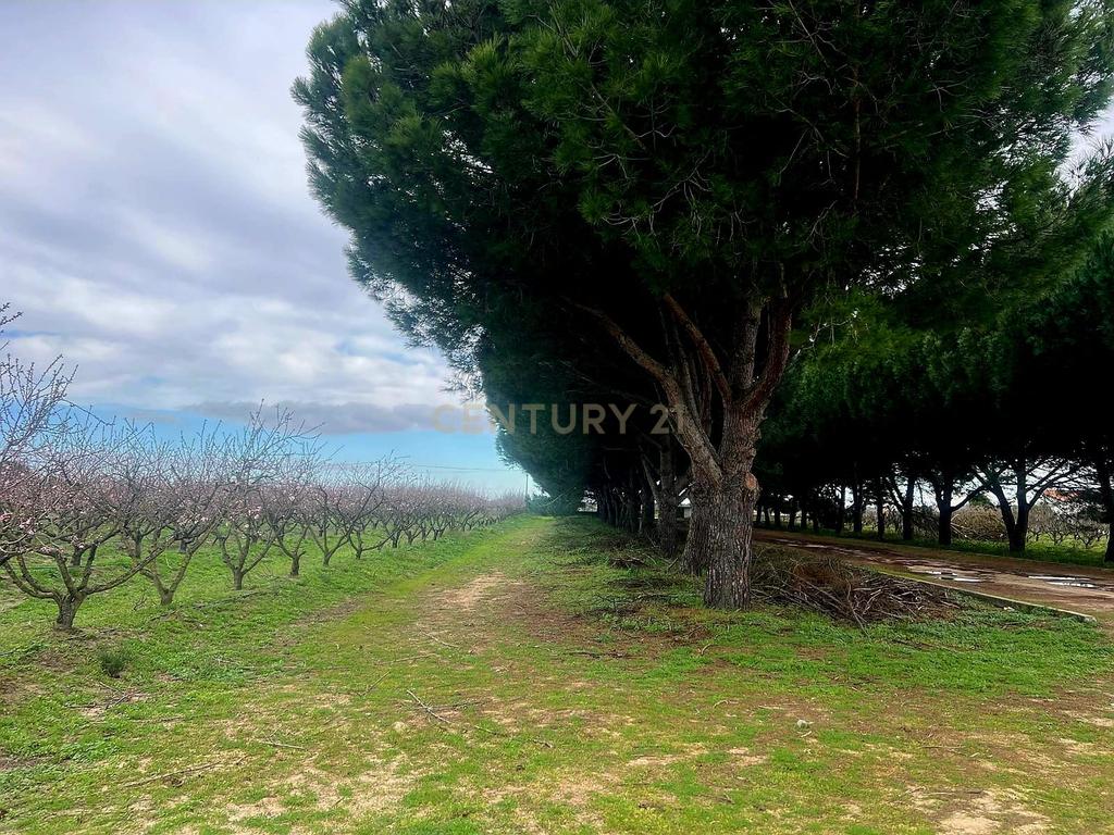 Herdade em Palmela T2 + 2 - T1 - Quinta Nova - Image 9