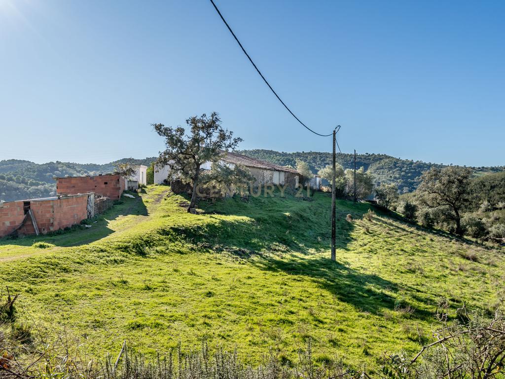 Quinta com moradia para reabilitação, na zona de Messines - Image 18