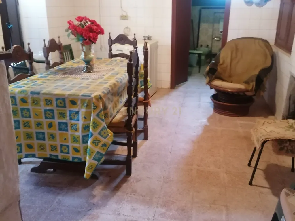 ALBERNOA-BEJA - ALENTEJO- Quinta com 1750 m2. Casa de 229 m2 Cozinha-Sala -3 quartos . Garagem. - Image 31