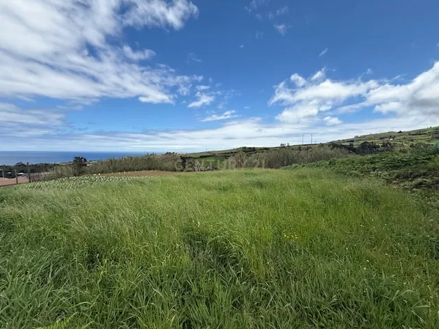 Terreno Rústico com Projeto Aprovado – Vista Serra e Mar - Image 10