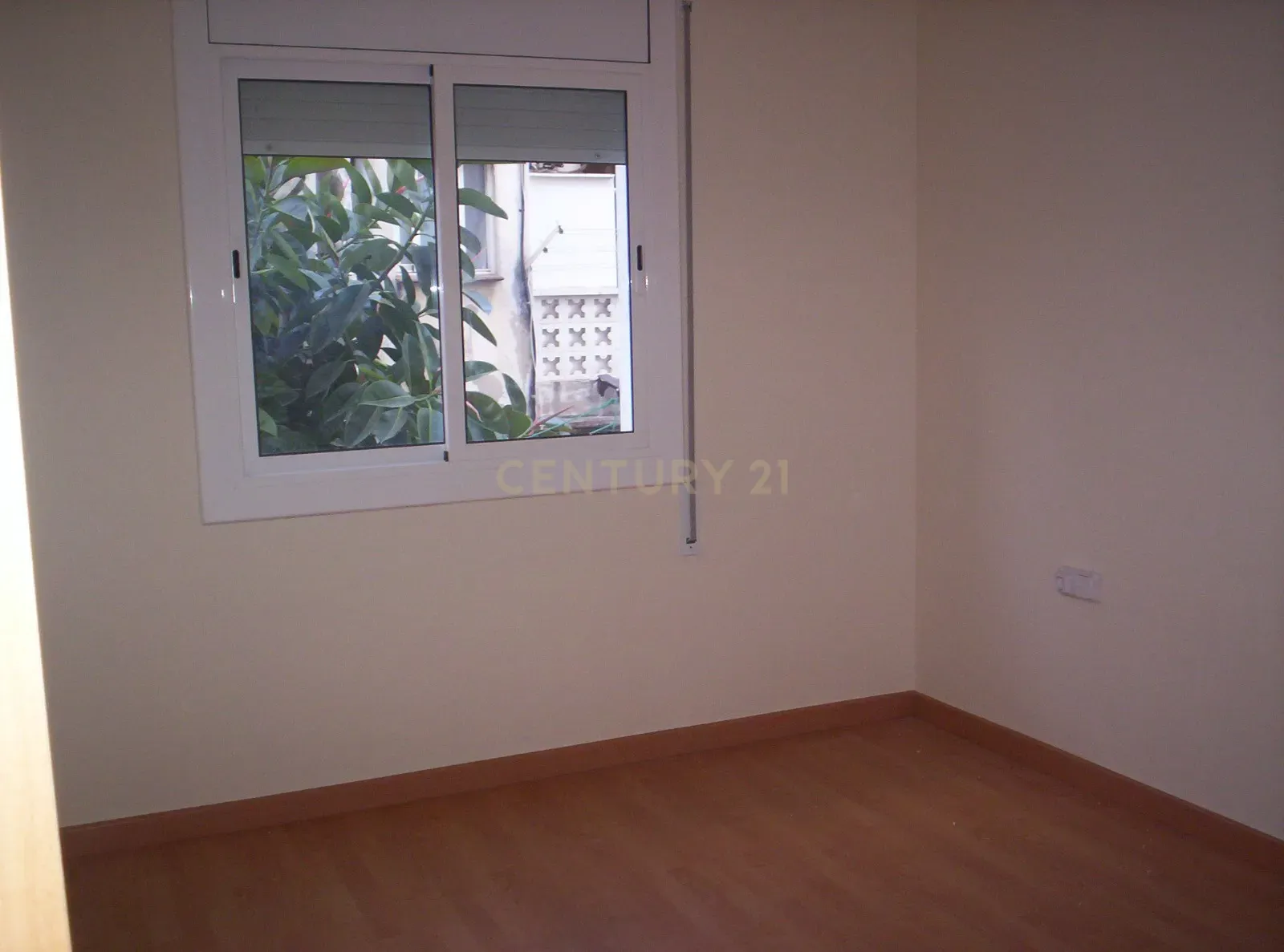 - Image 6