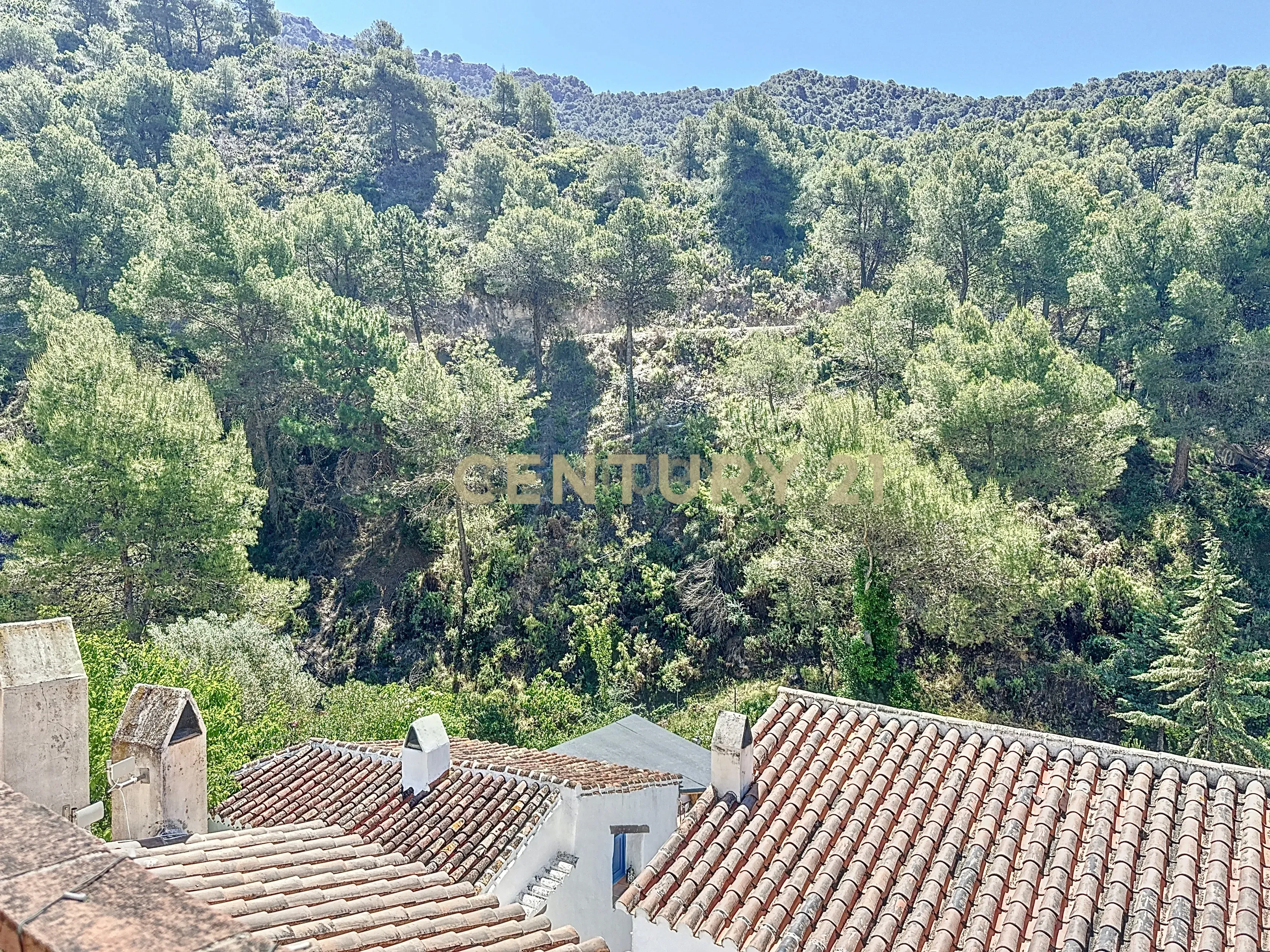 Encanto rural em El Acebuchal – Uma casa com uma história e vistas inigualáveis - Image 18