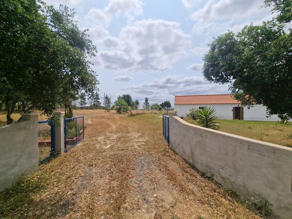 Monte/Terreno em Santiago do Cacém, com Vista Campestre e Árvores Frutíferas - Image 1