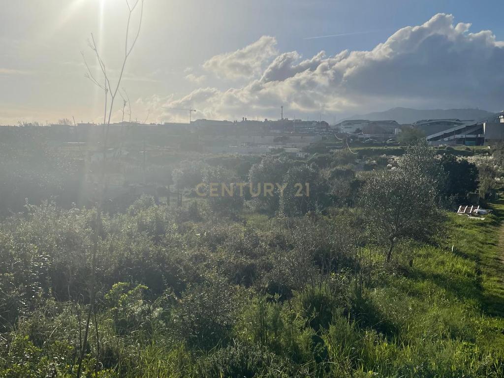 Oportunidade de Investimento em Rio de Mouro – Cabeça Gorda / Anafais - Image 20