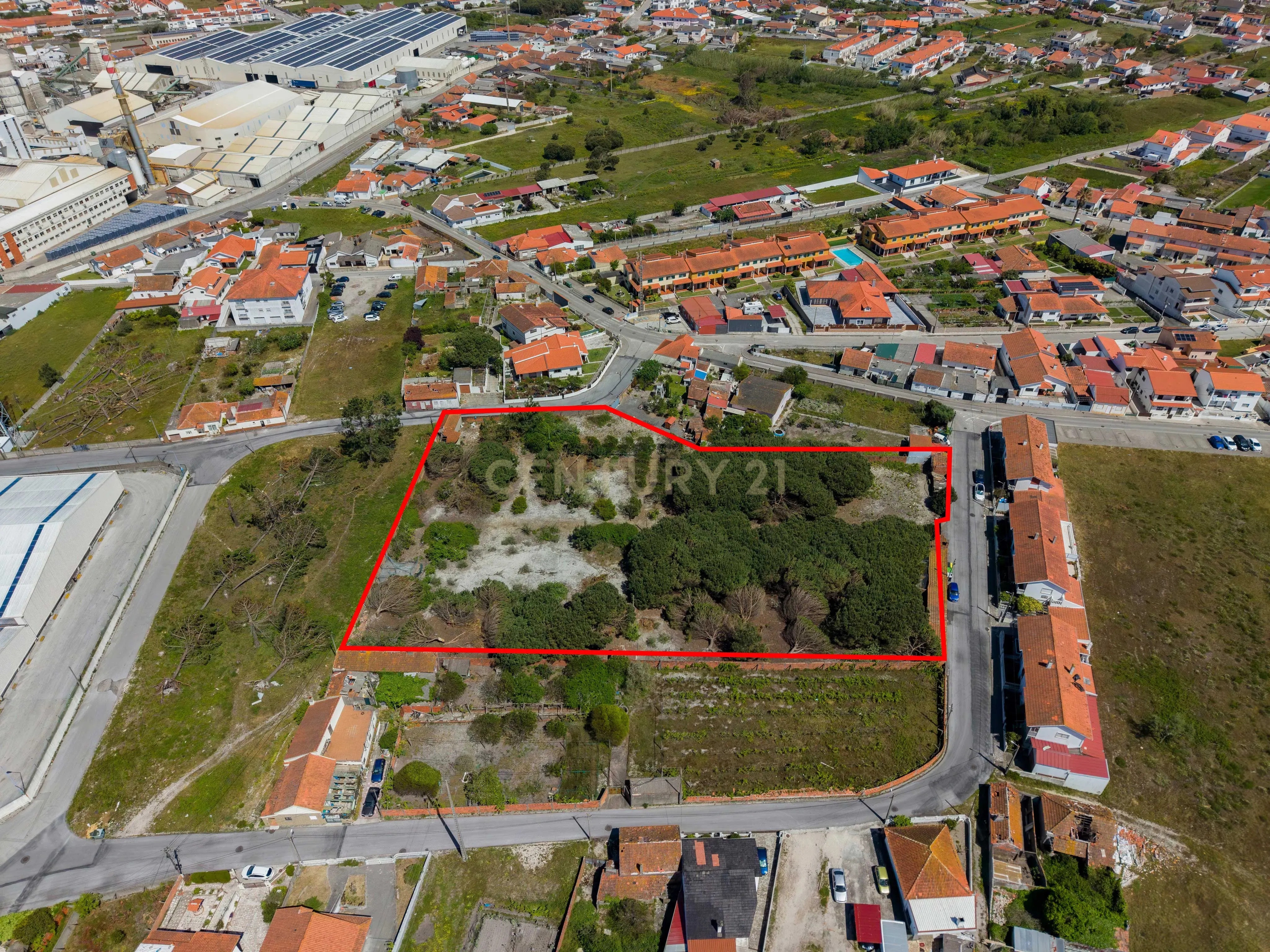 Fotografia 8 de Terreno com potencial de desenvolvimento urbanístico | 6.803 m² | Comeira – Marinha Grande