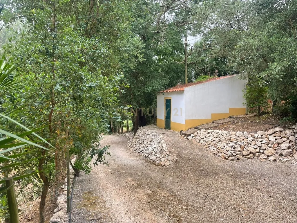 Quinta de Charme - Refúgio de Sonho no Coração do Bombarral - Image 27