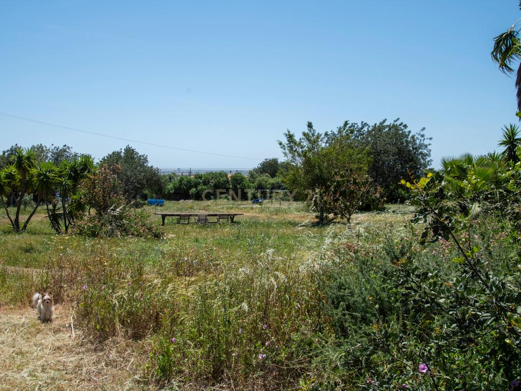Terreno com Potencial de Construção em Falfosa – Santa Bárbara de Nexe, Faro - Image 29