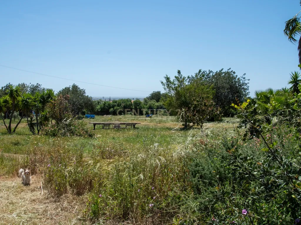 Terreno com Potencial de Construção em Falfosa – Santa Bárbara de Nexe, Faro - Image 29