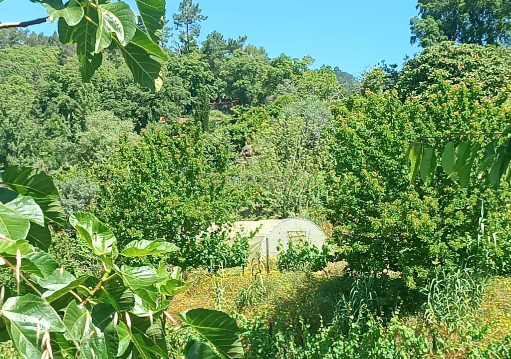 Casa com terreno de construção e agrícola perto do rio Douro em Granja, S. Tomé de Covelas, Baião, Porto - Image 43