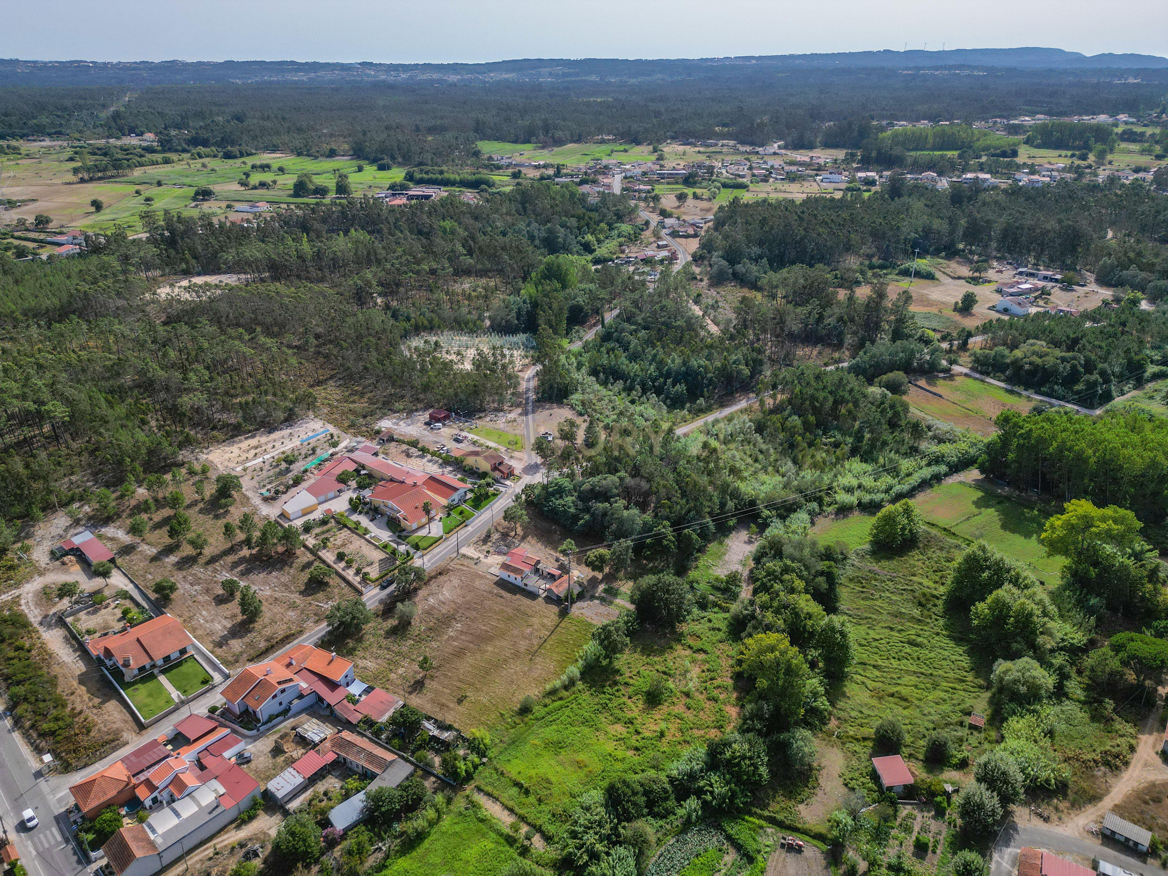 Fotografia 8 de Terreno com cerca de 2.700 m² em Casal dos Chouriços, Moinhos da Gândara, Figueira da Foz.