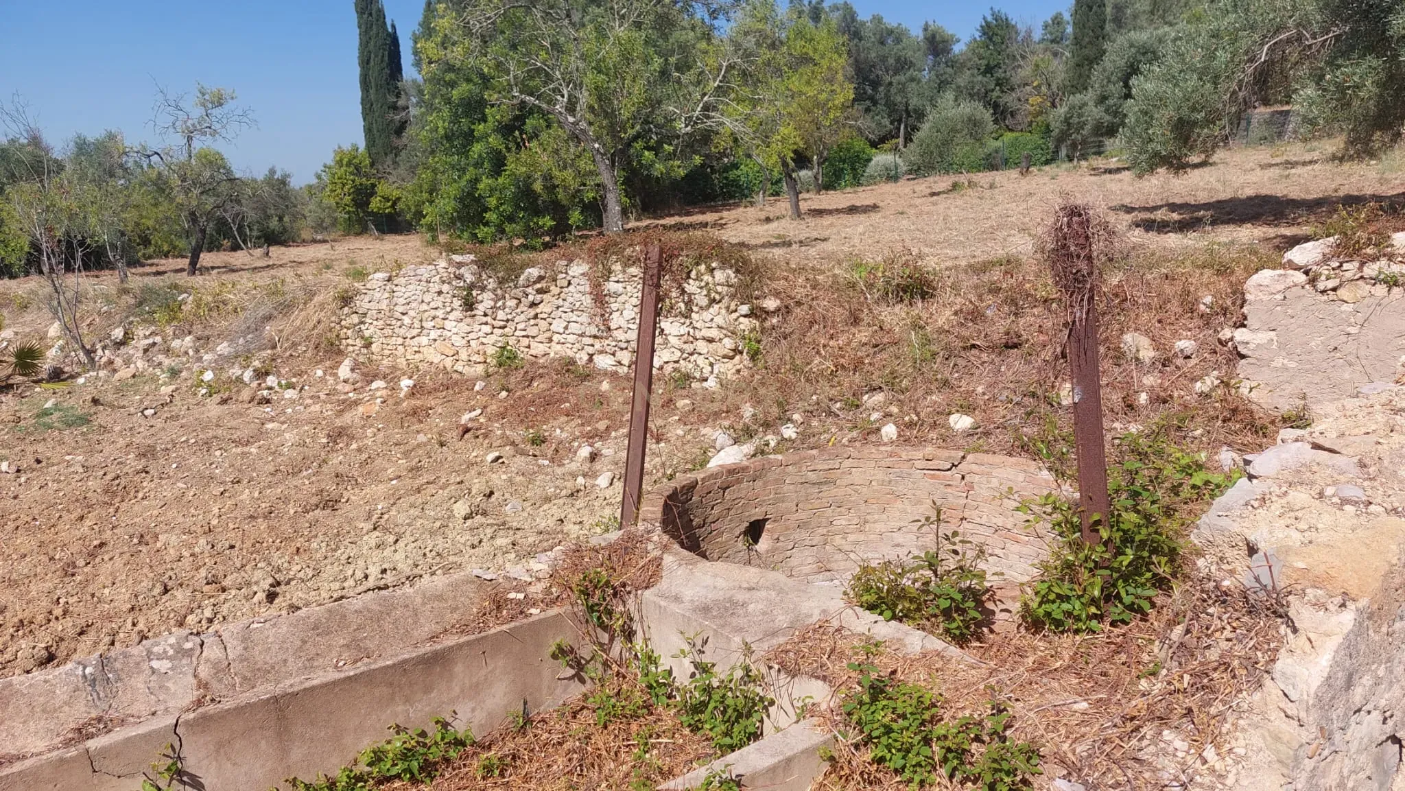 Fotografia 10 de Terreno Rústico com 2.280 m² em Santa Bárbara de Nexe – Sítio do Canal