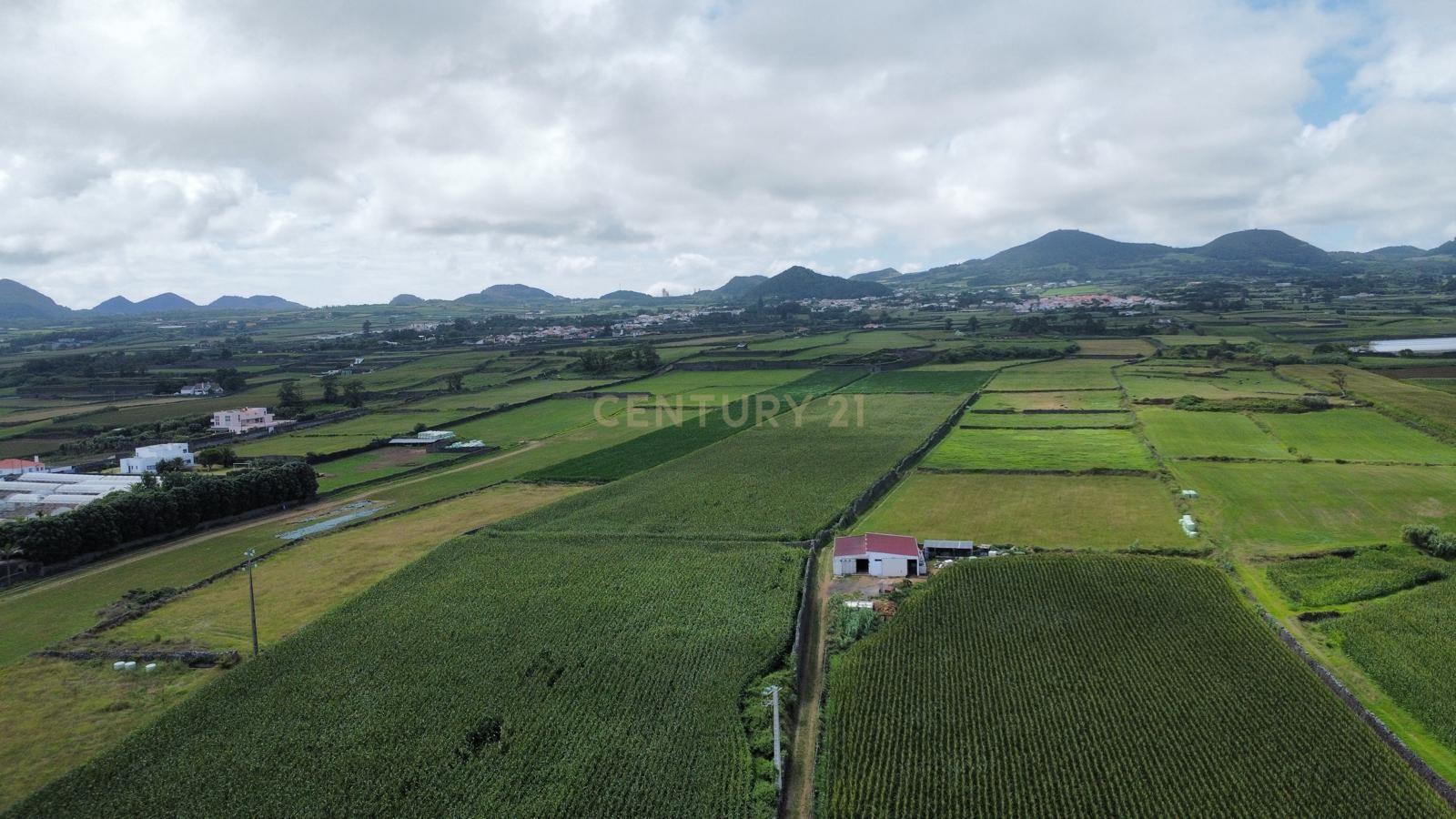 Fotografia 5 de Terreno Agrícola Plano com 6.240 m² | Excelente Exposição Solar | Calhetas