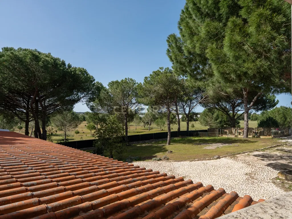 Fabulosa Quinta com lote de terreno de 22.381 m2, onde se encontra inserida uma moradia composta por dois pisos, com uma área bruta de 623 m2, uma área útil de 304 m2 e uma área bruta dependente de 319 m2, localizada em Santo Isidro de Pegões, na zona de Pegões, a pouca distância das belas praias de Setúbal. - Image 40