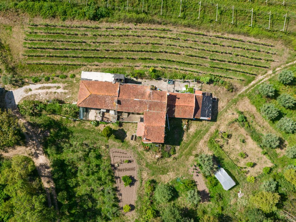 Quinta com 8 hectares com potencial para construção – Antanhol - Coimbra - Image 6