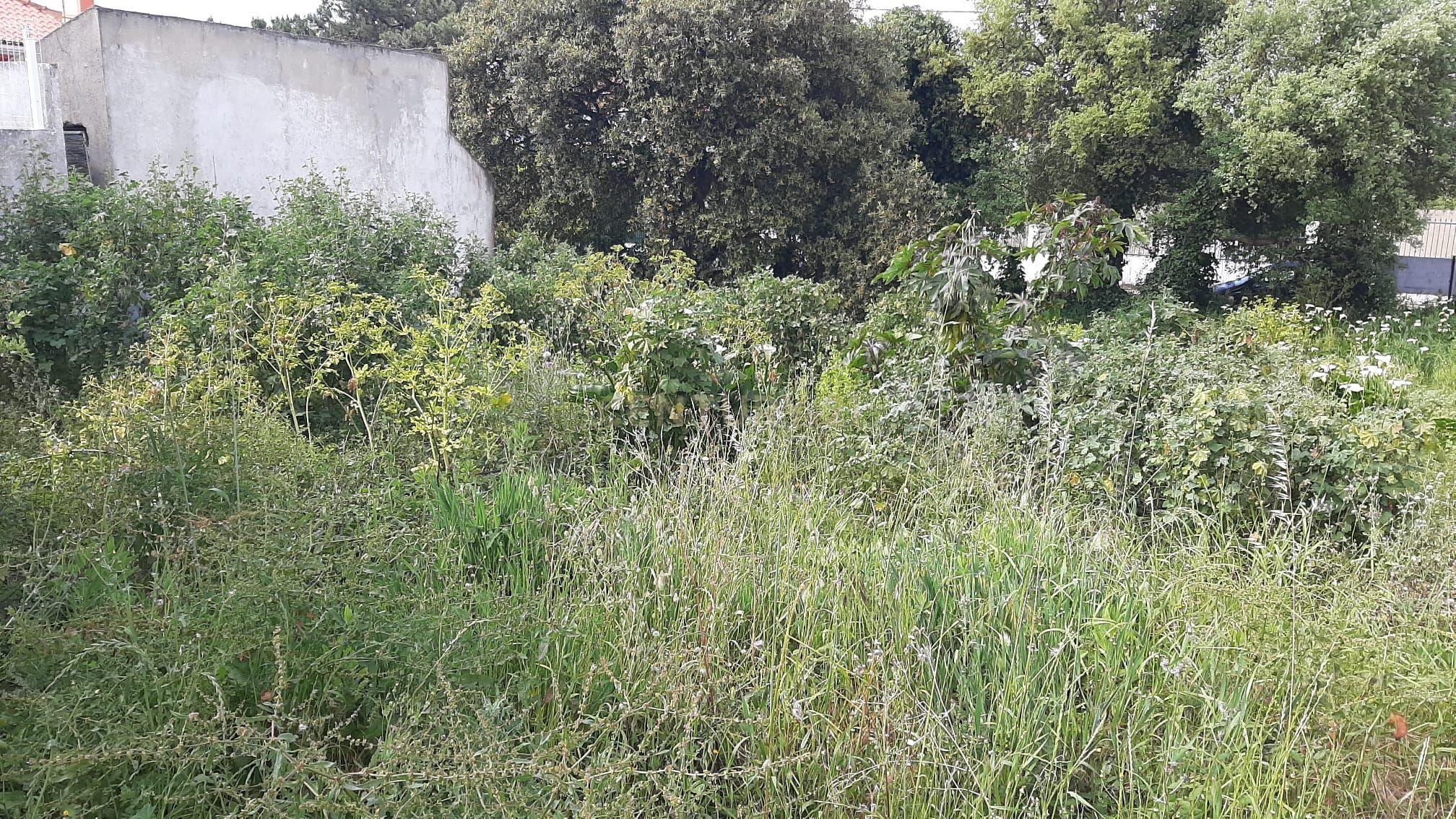 Terreno Urbano nas Quintinhas 600m2 duas frentes de estrada, ótima localização - Image 4