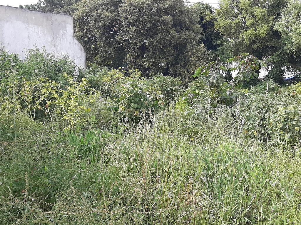 Terreno Urbano nas Quintinhas 600m2 duas frentes de estrada, ótima localização - Image 5