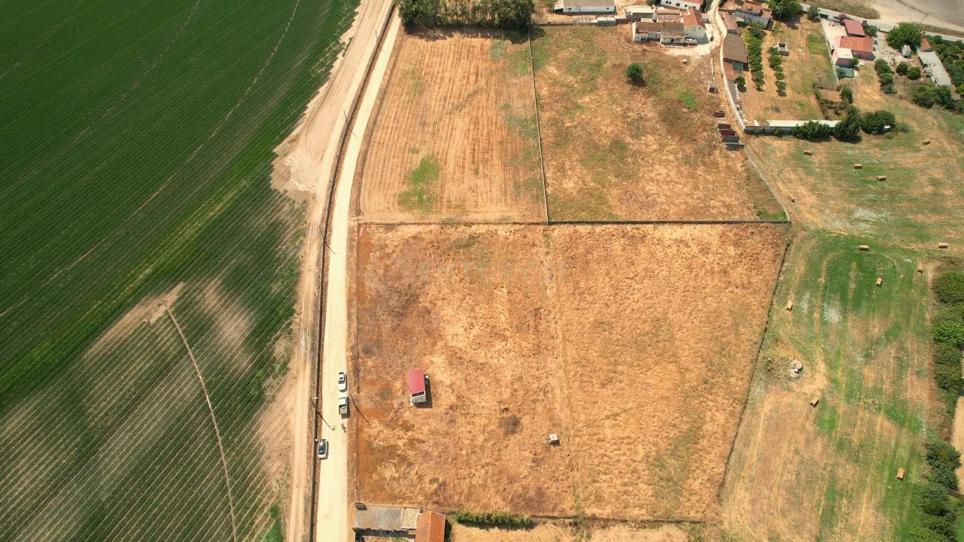 Fotografia 7 de Terreno com 8.700 m² no Rego da Amoreira — Alcochete