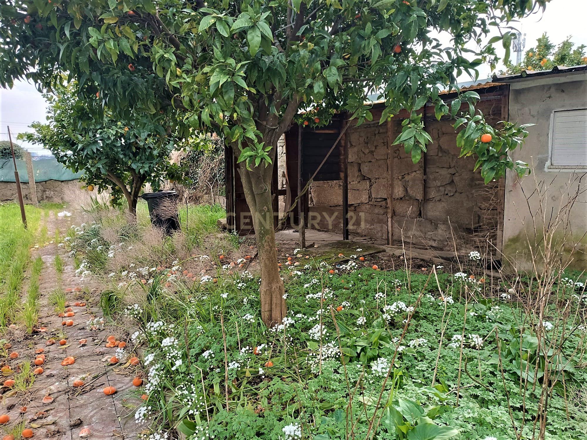 Moradia bifamiliar com cinco quartos, terreno e água para reconstrução no coração da Cidade da Maia, em Gueifaes - Image 39