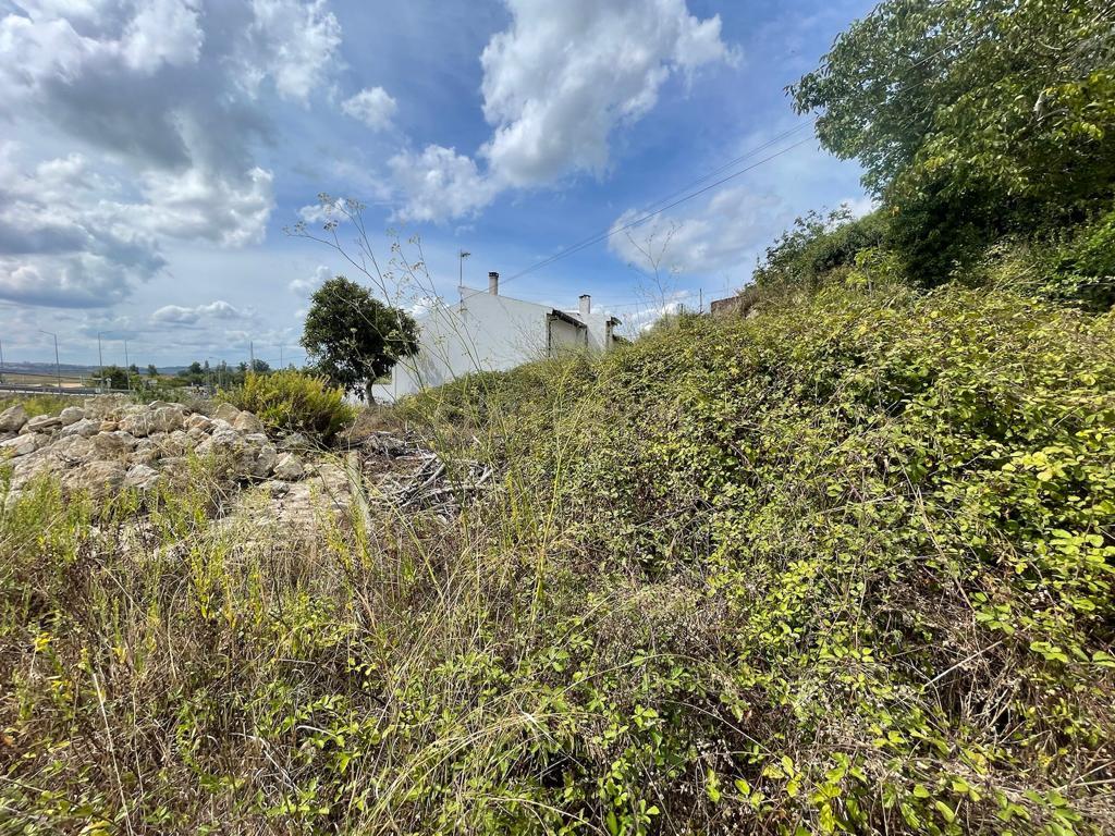 Agregado de três moradias com terreno de 1330m2, no Casal Novo do Rio - Image 17